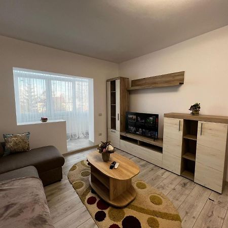 Cozy Urban Accommodation In Beautiful Suceava Exterior foto